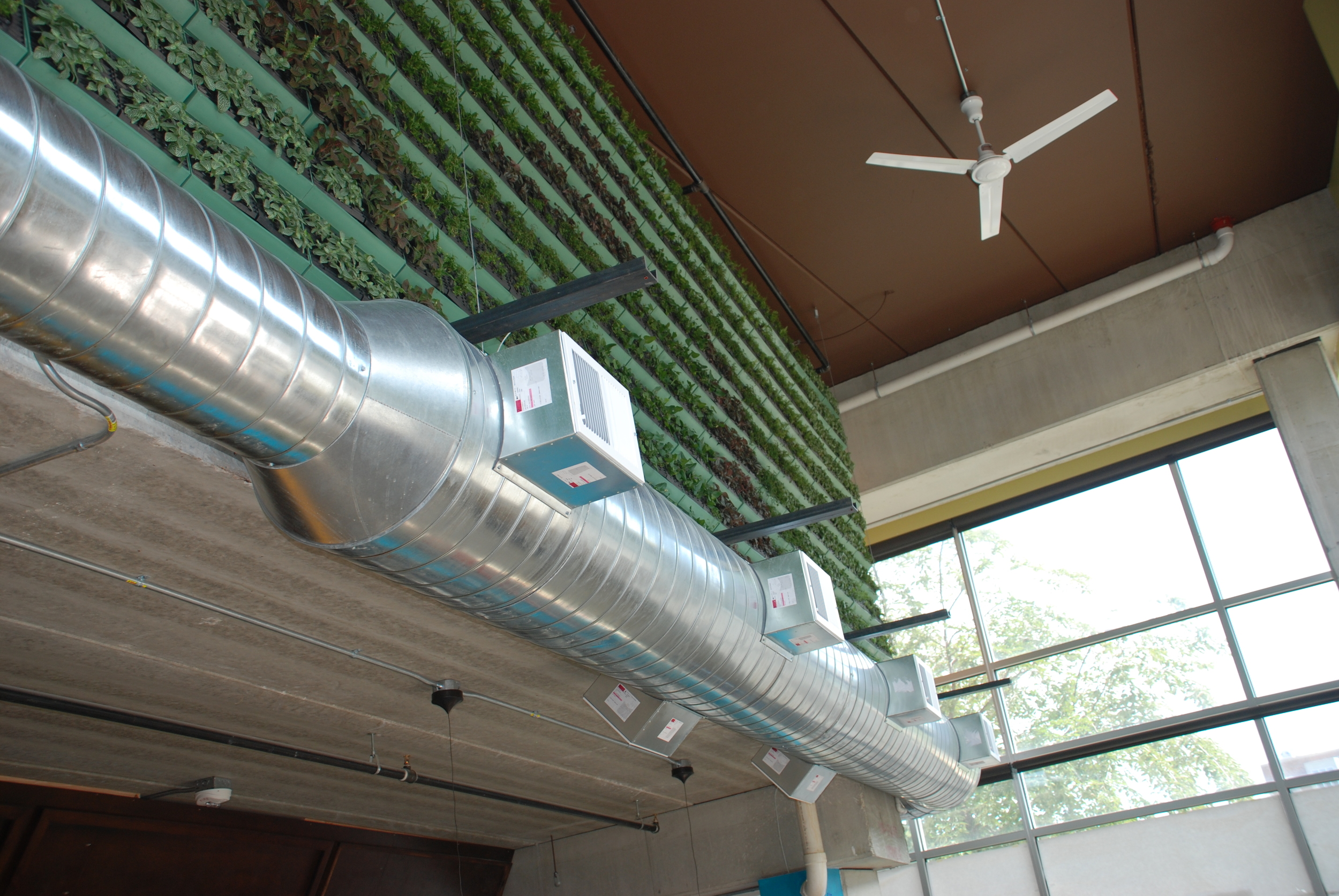 Beerline Cafe restaurant architecture project by Madisen Maher Architects